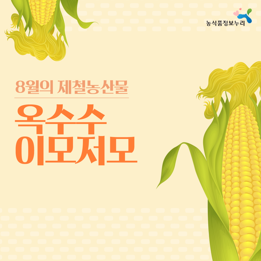농식품정보누리-8월의 제철농산물 옥수수 이모저모