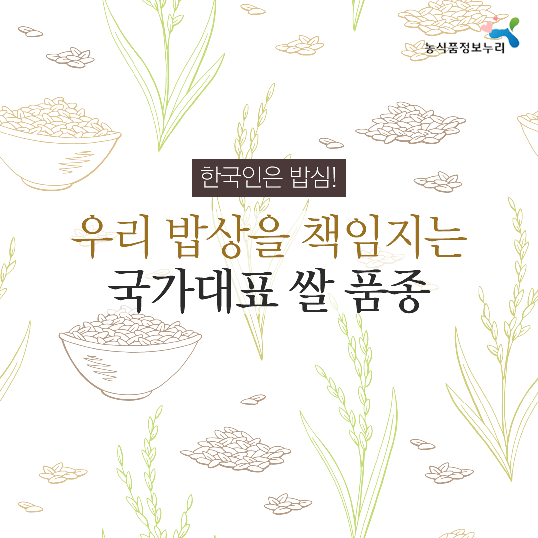 농식품정보누리- 한국인은 밥심! 우리 밥상을 책임지는 국가대표 쌀 품종