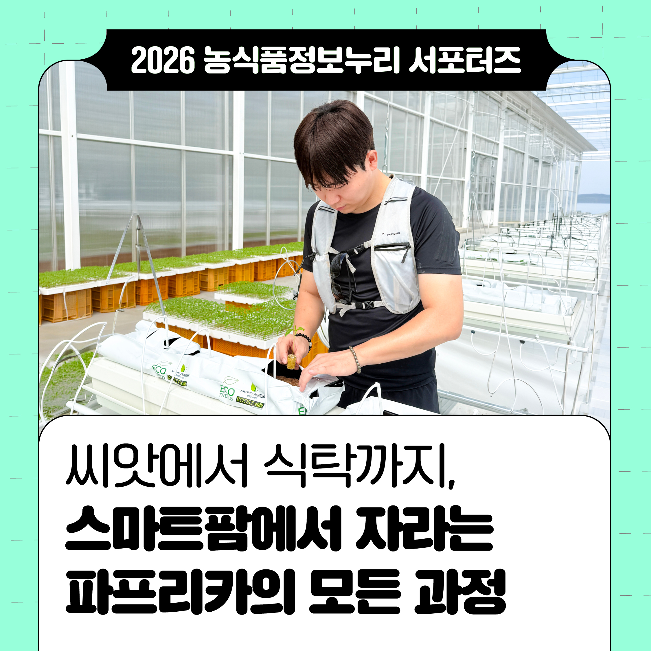 씨앗에서 식탁까지, 스마트팜에서 자라는 파프리카의 모든 과정