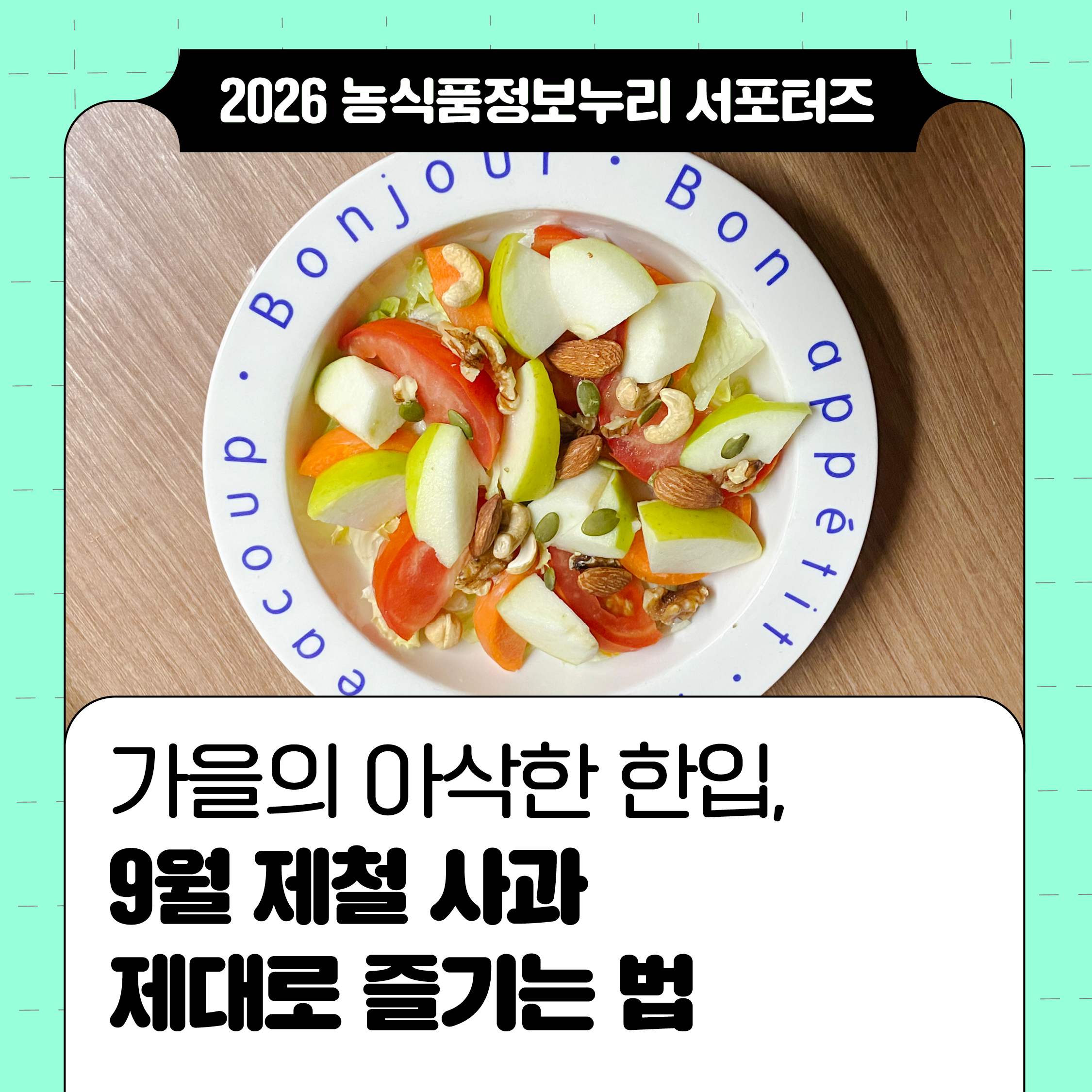 가을의 아삭한 한입, 9월 제철 사과 제대로 즐기는 법