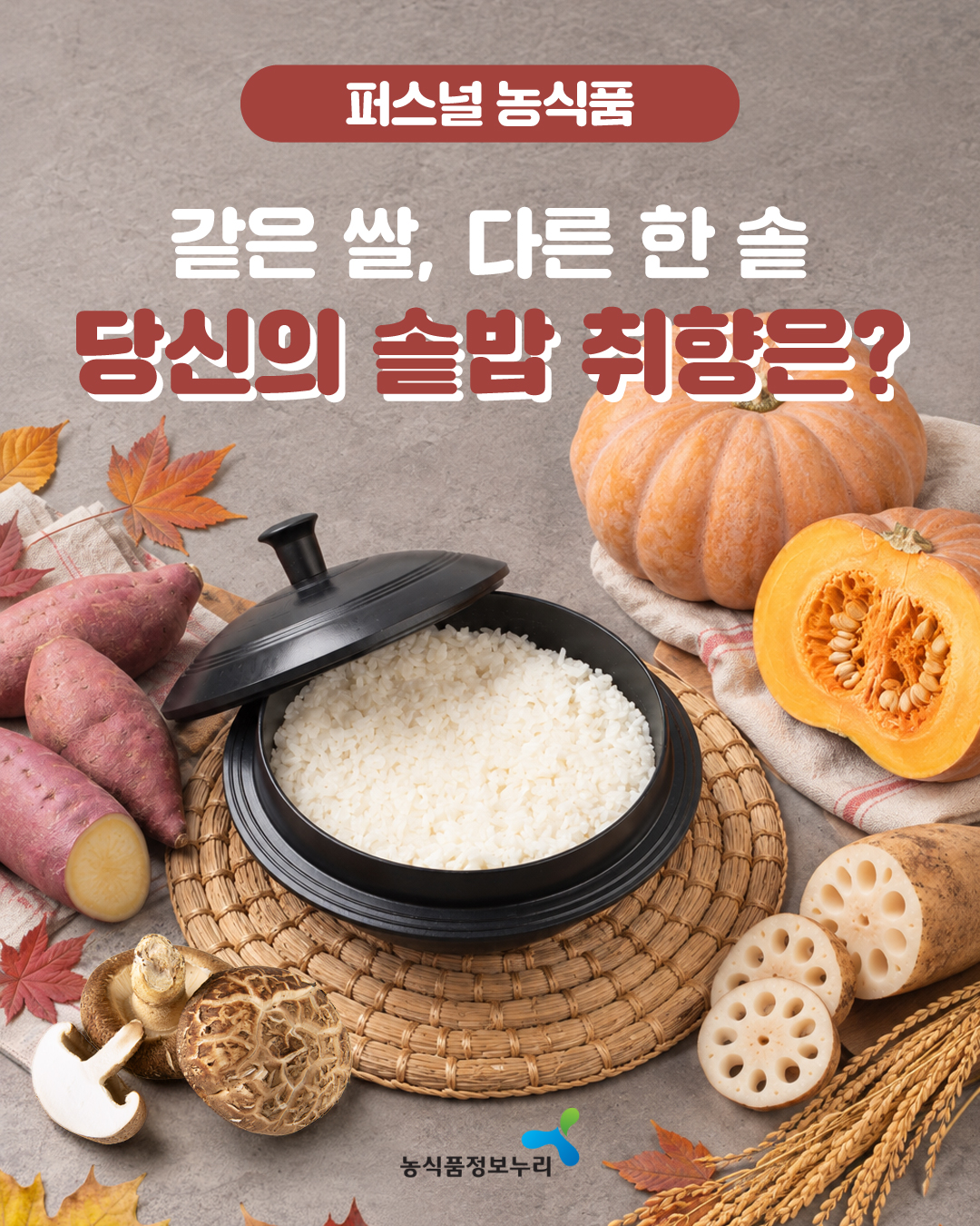 [퍼스널 농식품] 같은 쌀, 다른 한 솥 당신의 솥밥 취향은?