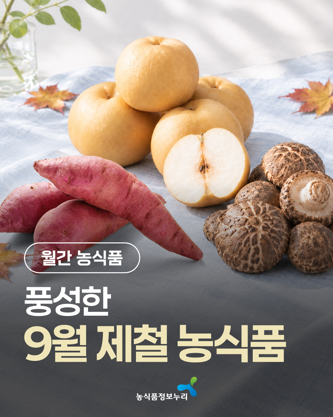 [월간 농식품] 풍성한 9월 제철 농식품 