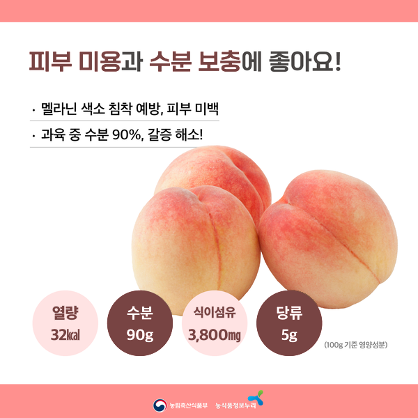 피부 미용과 수분 보충에 좋아요! 멜라닌 색소 침착 예방, 피부 미백. 과육 중 수분 90%, 갈증 해소! (100g 기준 영양성분) 열량 32kcal, 수분 90g, 식이섬유 3,800mg, 당류 5g