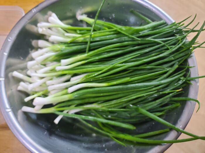 가을 제철 텃밭에서 직접 키운 쪽파로 파김치 만들기 사진8