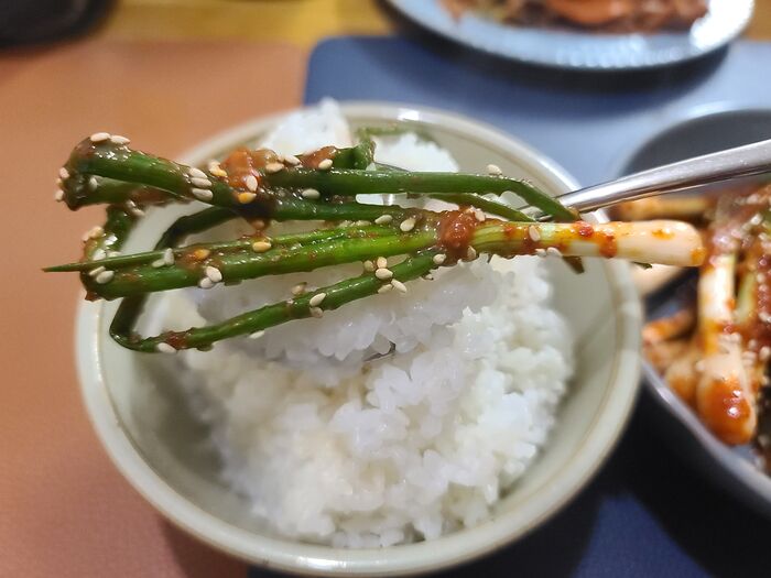 가을 제철 텃밭에서 직접 키운 쪽파로 파김치 만들기 사진13