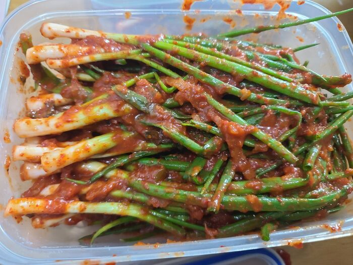 가을 제철 텃밭에서 직접 키운 쪽파로 파김치 만들기 사진10