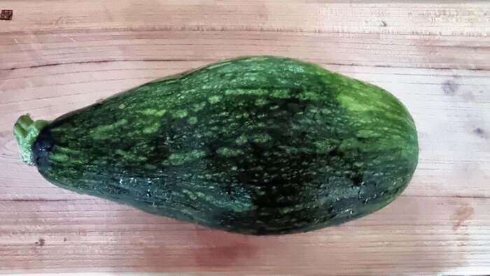 채소 보양식 호박 만두, 호박 편수 만들어 보아요! 사진3