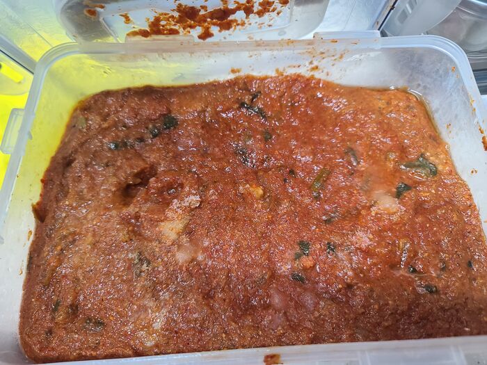 가을 제철 텃밭에서 직접 키운 쪽파로 파김치 만들기 사진7