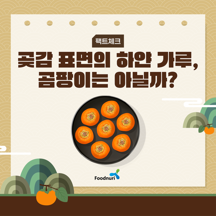 팩트체크 곶감 표면의 하얀 가루, 곰팡이는 아닐까? Foodnuri