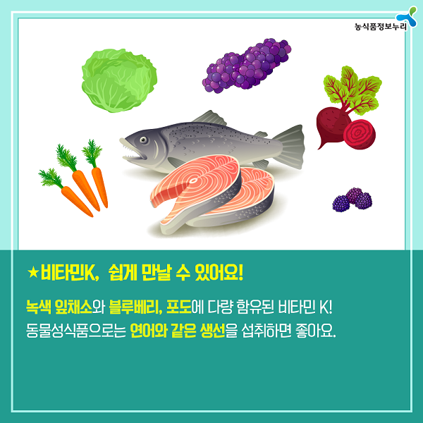 비타민K,쉽게 만날 수 있어요! 녹？ 잎채소와 블루베리,포도에 다량 함유된 비타민 K! 동물성 식품으로는 연어와 같은 생선을 섭취하면 좋아요.