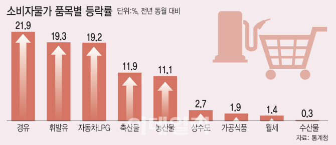 소비자물가 품목별 등락률(단위:%, 전년 동월 대비) - 경유 21.9 / 휘발유 19.3 / 자동차LPG 19.2 / 축산물 11.9 / 농산물 11.1 / 상수도 2.7 / 가공식품 1.9 / 월세 1.4 / 수산물 0.3 - 자료:통계청
