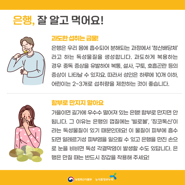 은행, 잘 알고 먹어요! 과도한 섭취는 금물! 은행은 우리 몸에 흡수되어 분해되는 과정에서 '청산배당체'라고 하는 독정물질을 생성합니다. 과도하게 복용하는 경우 중독 증상을 유발하여 복통, 설사, 구토, 호흡곤란 등의 증상이 나타날 수 있지요. 따라서 성인은 하루에 10개 이하, 어린이는 2~3개로 섭취량을 제한하는 것이 좋습니다. 함부로 만지지 말아요. 가을이면 길가에 우수수 떨어져있는 은행! 함부로 만지면 안됩니다. 그 이유는 은행의 껍질에는 '빌로볼','징코톡신'이라는 독성물질이 있기 때문인데요! 이 물질이 피부에 흡수되면 알레르기성 피부염을 일으킬 수 있고 은행을 만진 손으로 눈을 비비면 독성 각결막염이 발생할 수도 있답니다. 은행은 만질 때는 반드시 장갑을 착용해 주세요!
