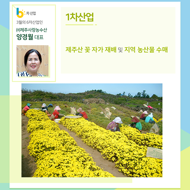 3월의 6차산업인 (주)제주사랑농수산 양경월 대표
1차 산업
제주산 꽃 자가 재배 및 지역 농산물 수매