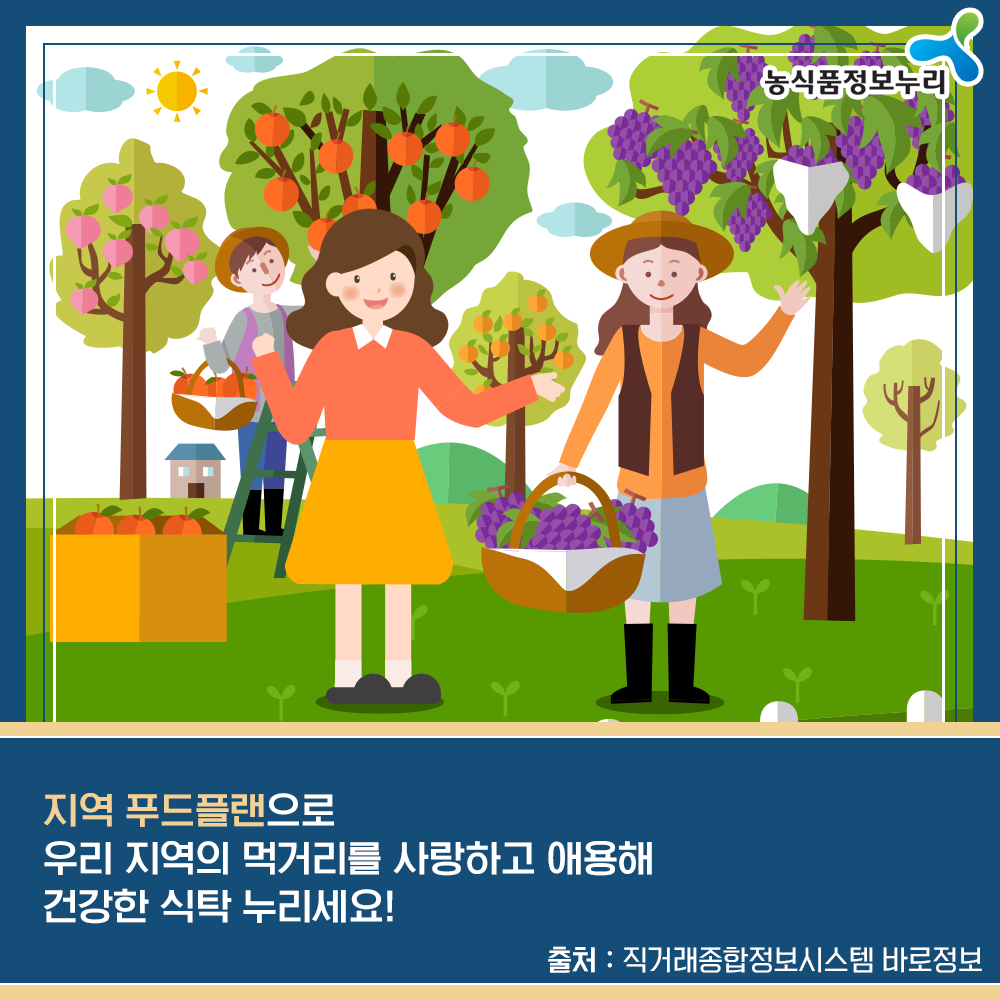 농식품정보누리 - 지역 푸드플랜으로 우리 지역의 먹거리를 사랑하고 애용해 건강한 식탁 누리세요! 출처 : 직거래종합정보시스템 바로정보
