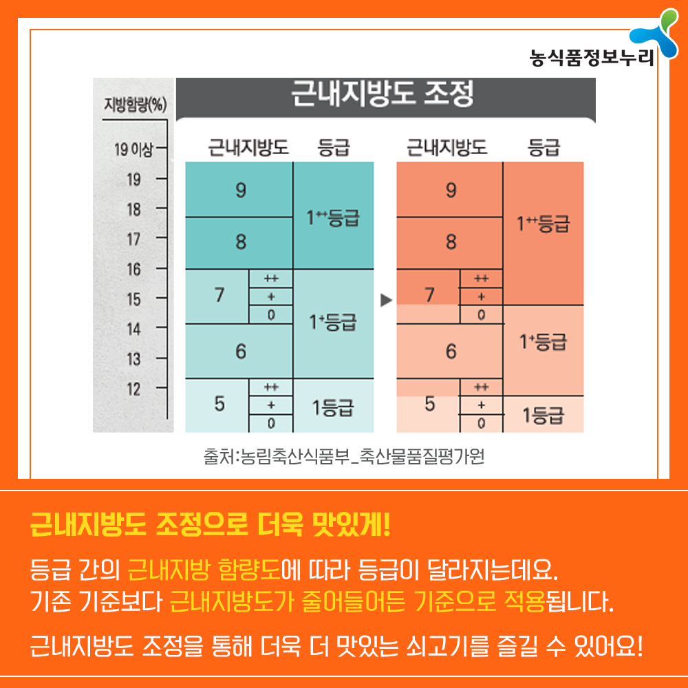 농식품정보누리 - 근내지방도 조정으로 더욱 맛잇게! 등급 간의 근내지방 함량도에 따라 등급이 달라지는데요. 기존 기준보다 근내지방도가 줄어들어든 기준으로 적용됩니다.  근내지방도 조정을 통해 더욱 더 맛잇게 쇠고기를 즐길 수 있어요!