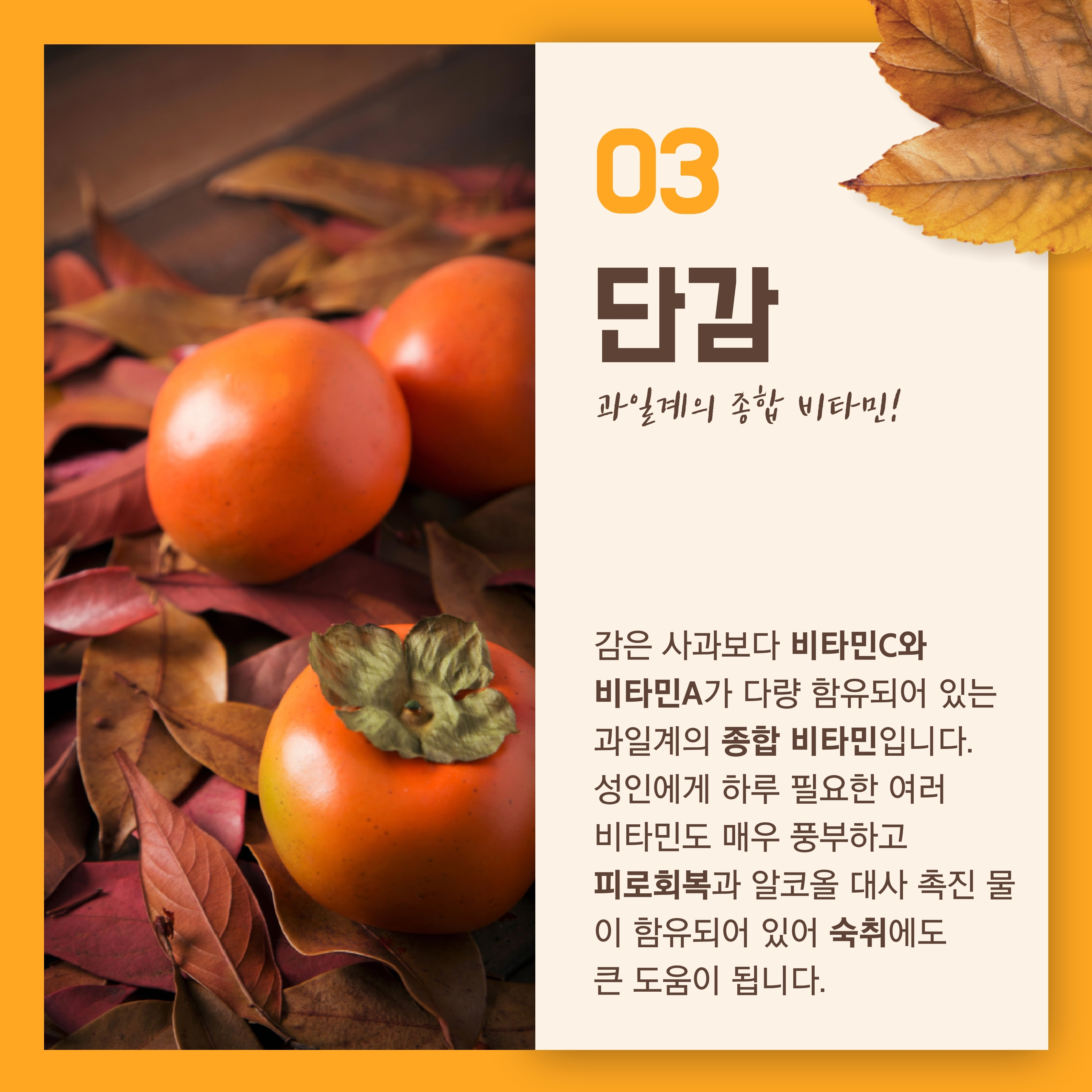 단감 과일계의 종합 비타민 감은 사과보다 비타민C와 비타민A가 다량 함유되어 있는 과일계의 종합 비타민입니다. 성인에게 하루 필요한 여러 비타민도 매우 풍부하고 피로회복과 알코올 대사 촉진 물이 함유되어 있어 숙취에도 큰 도움이 됩니다.