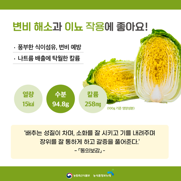 변비 해소와 이뇨 작용에 좋아요! 풍부한 식이섬유, 변비 예방. 나트륨 배출에 탁월한 칼륨. 열량 15kcal, 수분 94.8g, 칼륨 258mg. (100g 기준 영양성분) '배추는 성질이 차며, 소화를 잘 시키고 기를 내려주며 장위를 잘 통하게 하고 갈증을 풀어준다.' -동의보감-