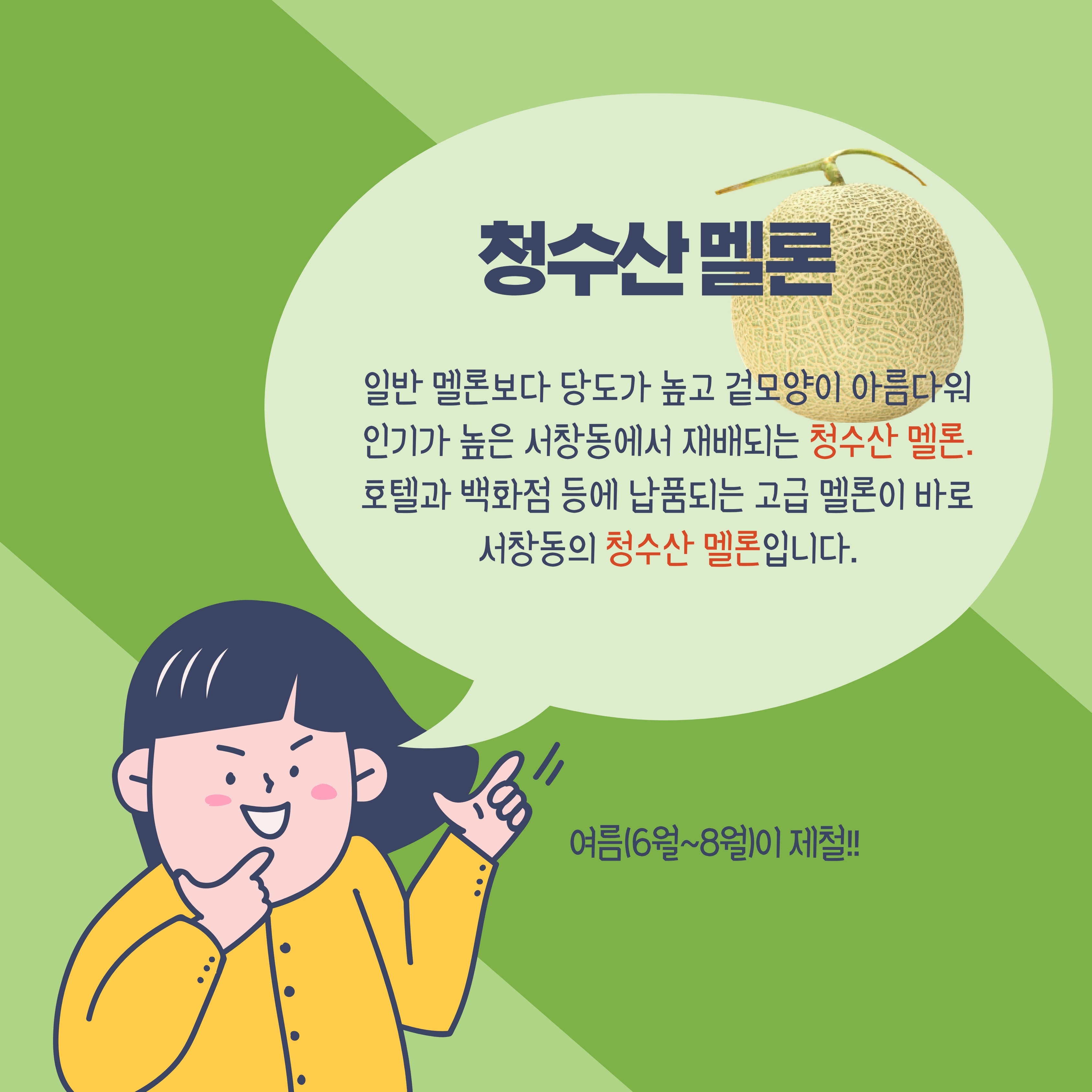 청수산멜론 일반 멜론보다 당도가 높고 겉모양0| 아름다워 인기가 높은 서창동에서 재배되는 청수산 멜론 호텔과 백화점 등에 납품되는 고급 멜론이 바로 서창동의 청수산 멜론입니다. 여름(6월~8윌)이 제철