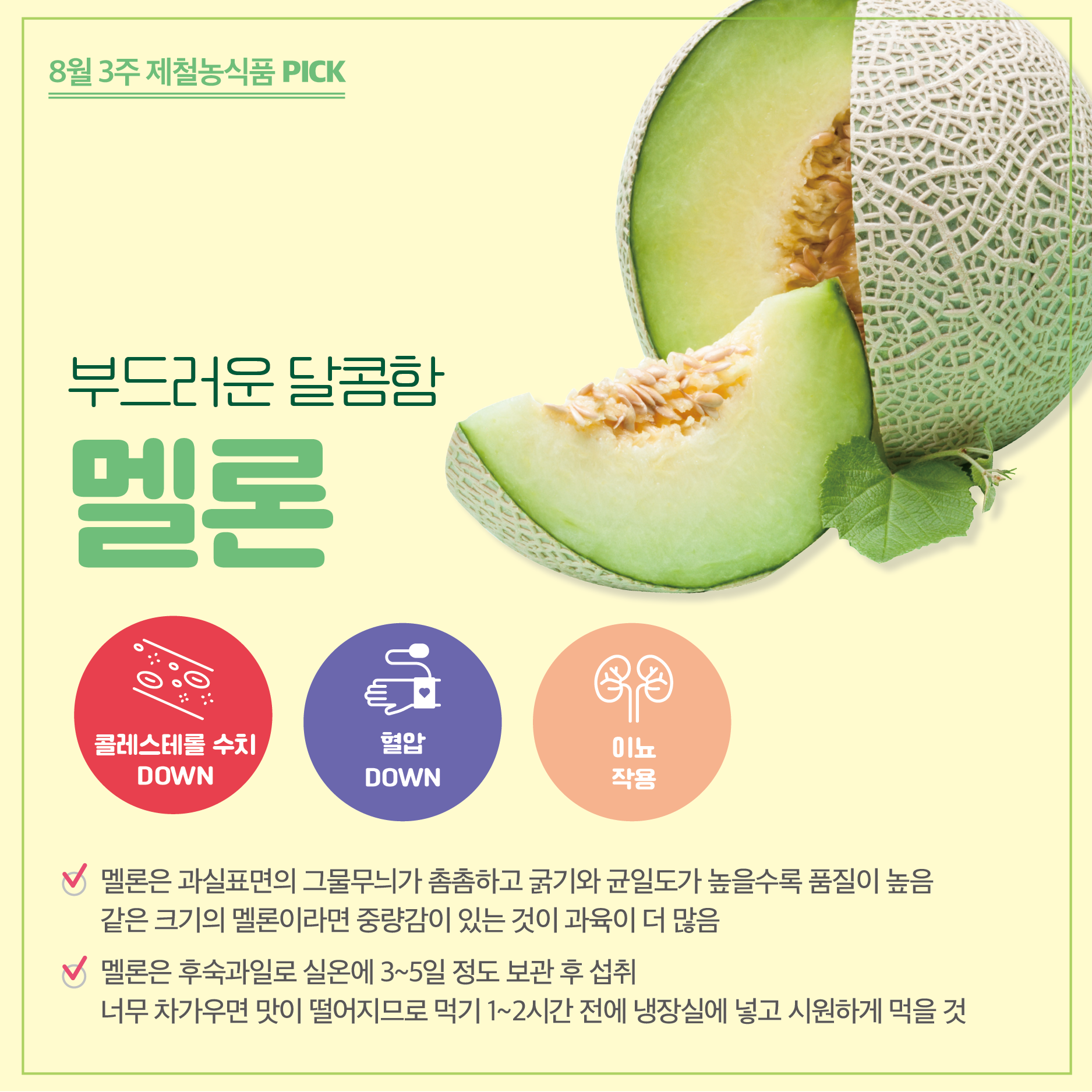 8월 3주 제철농식품 PICK 부드러운 달콤함 멜론(콜레스테롤 수치DOWN, 혈압DOWN, 이뇨작용) - 멜론은 과실표면의 그물무늬가 촘촘하고 굵기와 균일도가 높을수록 품질이 높음 같은 크기의 멜론이라면 중량감이 있는 것이 과육이 더 많음 / 멜론은 후숙과일로 실온에 3~5일 정도 보관 후 섭취 너무 차가우면 맛이 떨어지므로 먹기 1~2시간 전에 냉장실에 넣고 시원하게 먹을 것