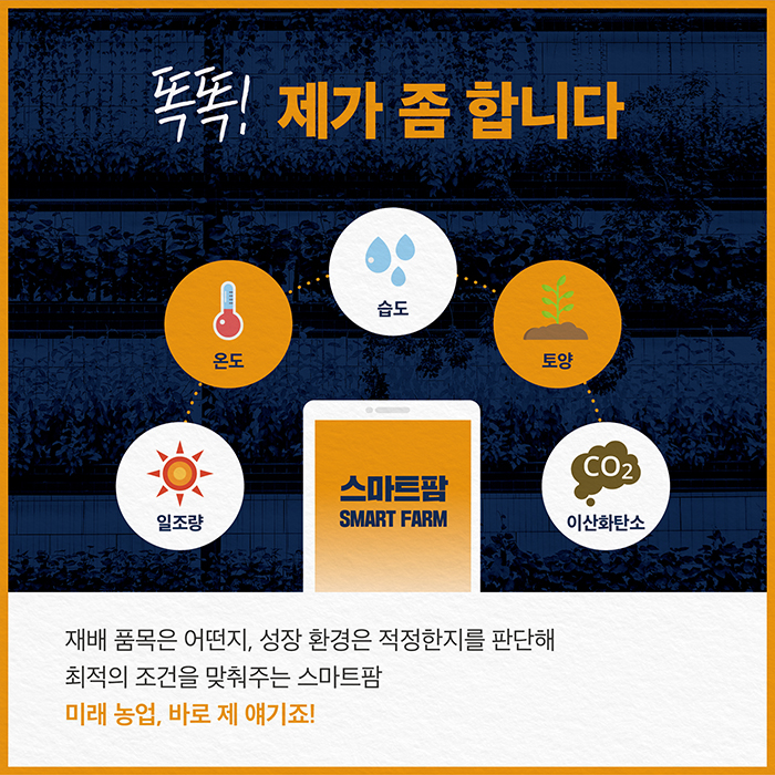 똑똑! 제가 좀 합니다 일조량 온도 습도 토양 이산화탄소 CO2 스마트팜(SMART FARM) 재배 품목은 어떤지, 성장 환경은 저겆ㅇ한지를 판단해 최적의 조건을 맞춰주는 스마트팜 미래 농업, 바로 제 얘기죠!