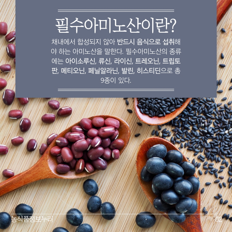 필수아미노산이란?
채내에서 합성되지 않아 반드시 음식으로 섭취해 야 하는 아미노산을 말한다. 필수아미노산의 종류 에는 아이소루신, 류신, 라이신, 트레오닌, 트립토 판, 메티오닌, 페닐알라닌, 발린, 히스티딘으로 총 9종이 있다.
농식품정보누리
