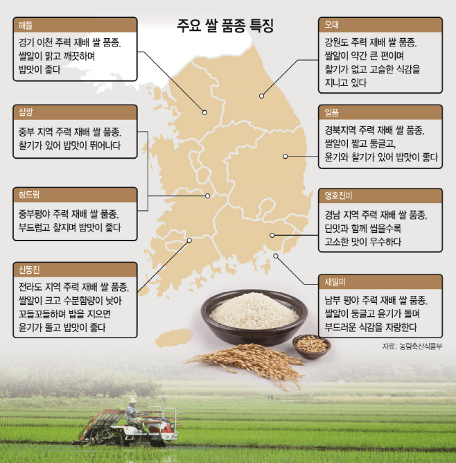 %EC%B6%9C%EC%B2%98%20-%20%EC%95%84%EC%8B%9C%EC%95%84%ED%88%AC%EB%8D%B0%EC%9D%B4.jpg 주요 쌀 품종 특징 - 해들:경기 이천 주력 재배 쌀 품종, 쌀알이 맑고 깨끗하며 밥맛이 좋다 / 오대:강원도 주력 재배 쌀 품종. 쌀알이 약간 큰 편이며 찰기가 없고 고슬한 식감을 지니고 있다 / 삼광:중부 지역 주력 재배 쌀 품종. 찰기가 있어 밥맛이 뛰어나다 / 일품:경북지역 주력 재배 쌀 품종. 쌀알이 짧고 둥글고 윤기와 찰기가 있어 밥맛이 좋다 / 참드림:중부평야 주력 재배 쌀 품종. 부드럽고 찰지며 밥맛이 좋다 / 영호진미:경남 지역 주력 재배 쌀 품종. 단맛과 함께 씹을수록 고소한 맛이 우수하다 / 신동진:전라도 지역 주력 재배 쌀 품종. 쌀알이 크고 수분함량이 낮아 꼬들꼬들하며 밥을 지으면 윤기가 돌고 밥맛이 좋다 / 새일미:남부 평야 주력 재배 쌀 품종. 쌀알이 둥글도 윤기가 돌며 부드러운 식감을 자랑한다. - 자료:농림축산식품부