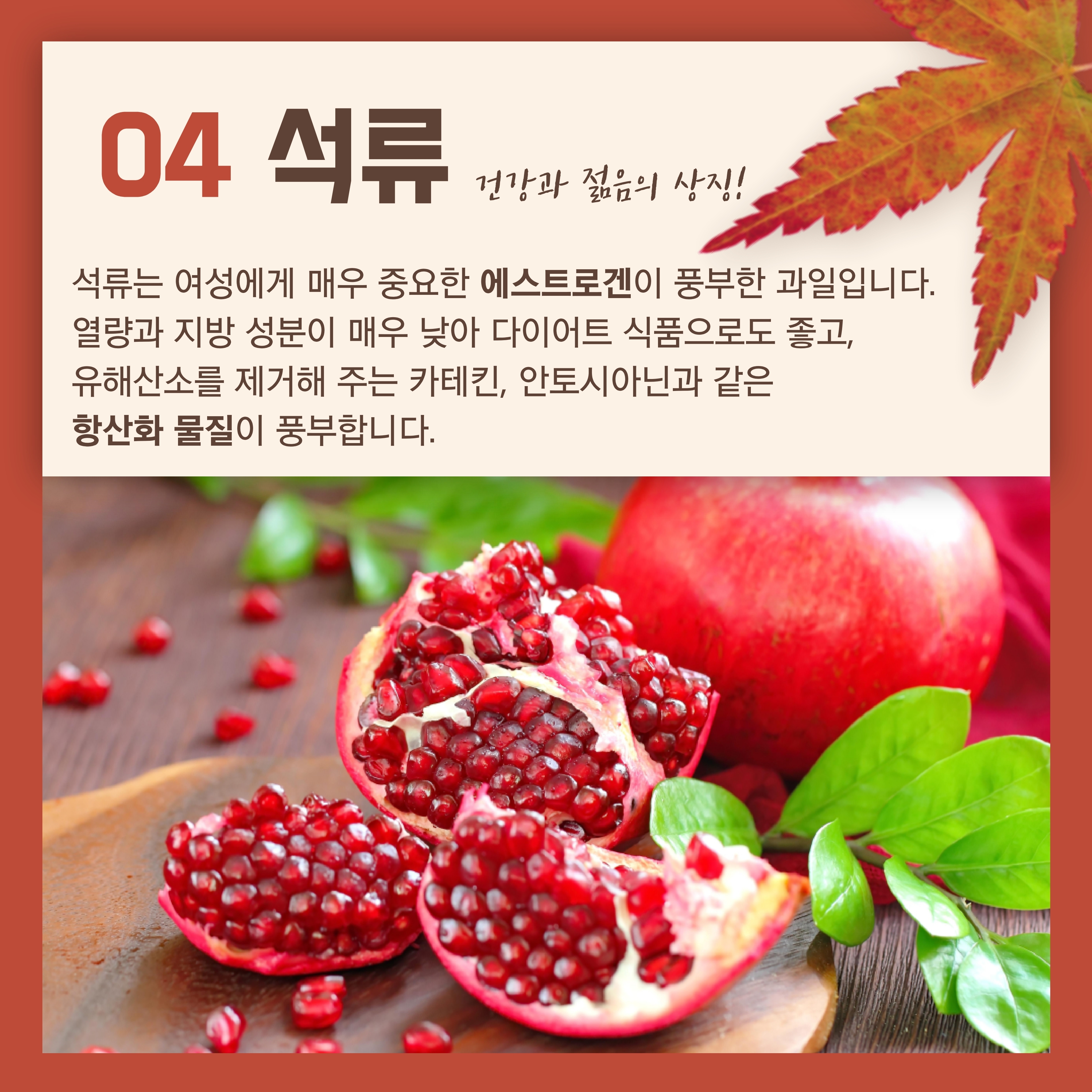 석류 건강과 젊음의 상징 석류는 여성에게 매우 중요한 에스트로겐이 풍부한 과일입니다. 열량과 지방 성분이 매우 낮아 다이어트 식품으로도 좋고, 유해산소를 제거해 주는 카테킨, 안토시아닌과 같은 항산화 물질이 풍부합니다.