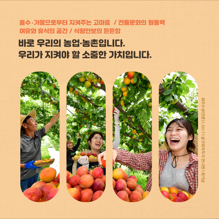 홍수 가뭄으로부터 지켜주는 고마움 / 전통문화의 원동력 / 여유와 휴식의 공간 / 식량안보의 든든함 바로 우리의 농업농촌입니다.우리가 지켜야 할 소중한 가치입니다. 최우수상(언론) 2017 살구와자두가 만나면 최기남
