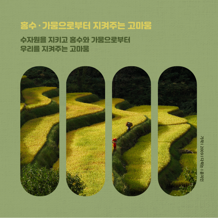홍수 가뭄으로부터 지켜주는 고마움 수자원을 지키고 홍수와 가뭄으로부터 우리를 지켜주는 고마움 가작 2009 다락논 윤치인