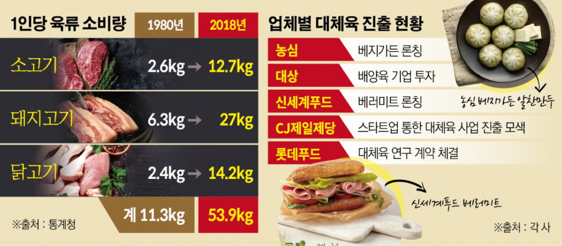 1인당 육류 소비량 - 소고기 1980년 2.6kg 2018년 12.7kg / 돼지고기 1980년 6.3kg 2018년 27kg / 닭고기 1980년 2.4kg 2018년 14.2kg(계 1980년 11.3kg 2018년 54.9kg) - 출처 : 통계청 - 업체별 대체육 진출 현황 - 농심:베지가든 론칭 / 대상:배양육 기업 투자 / 신세계푸드 : 베러미트 론칭 / CJ제일제당 : 스타트업 통한 대체육 사업 진출 모색 / 롯데푸드 : 대체육 연구 계약 체결 - 출처 : 각사