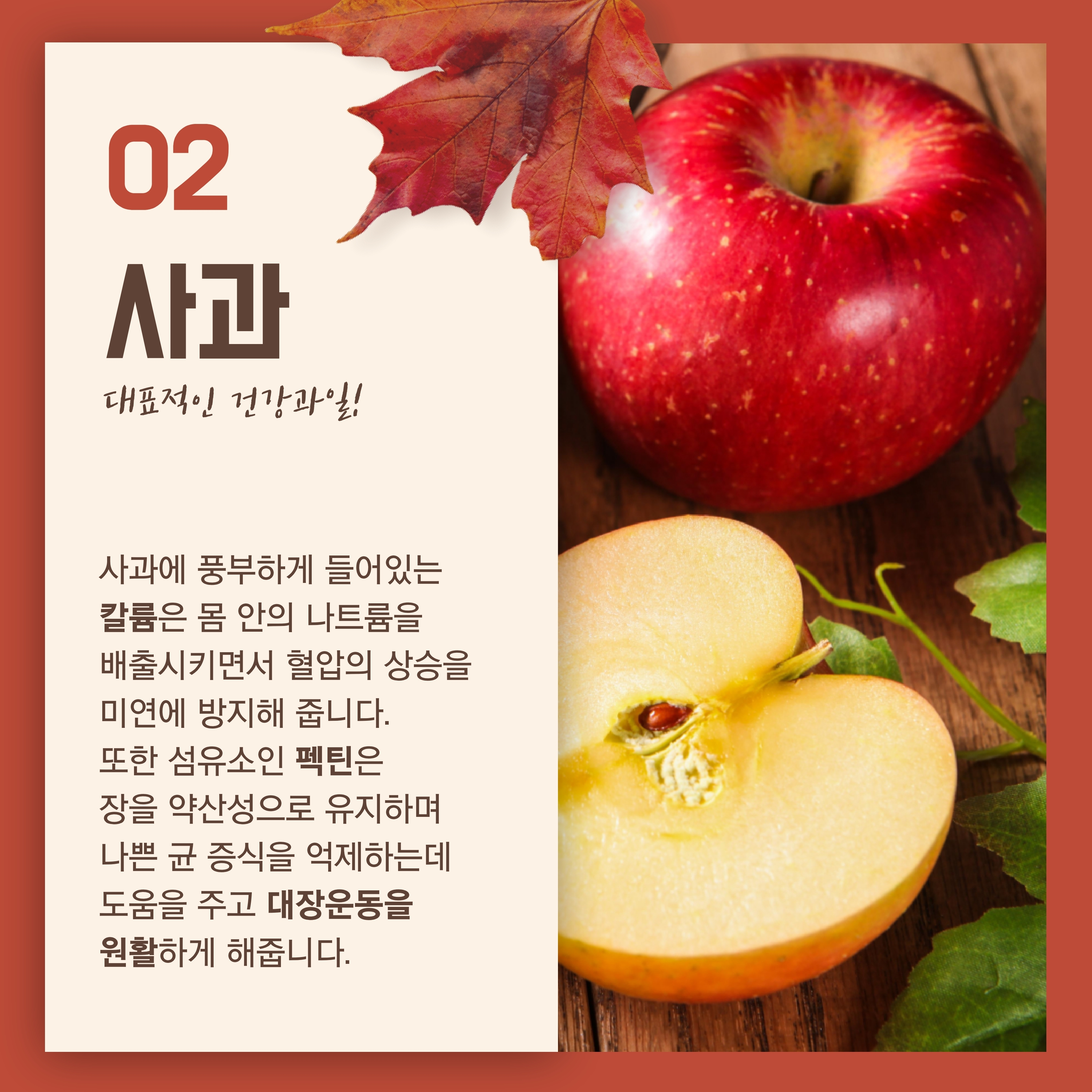 사과 대표적인 건강과일 사과에 풍부하게 들어있는 칼륨은 몸 안의 나트륨을 배출시키면서 혈압의 상승을 미연에 방지해 줍니다. 또한 섬유소인 펙틴은 장을 약산성으로 유지하며 나쁜 균 증식을 억제하는데 도움을 주고 대장운동을 원활하게 해줍니다.