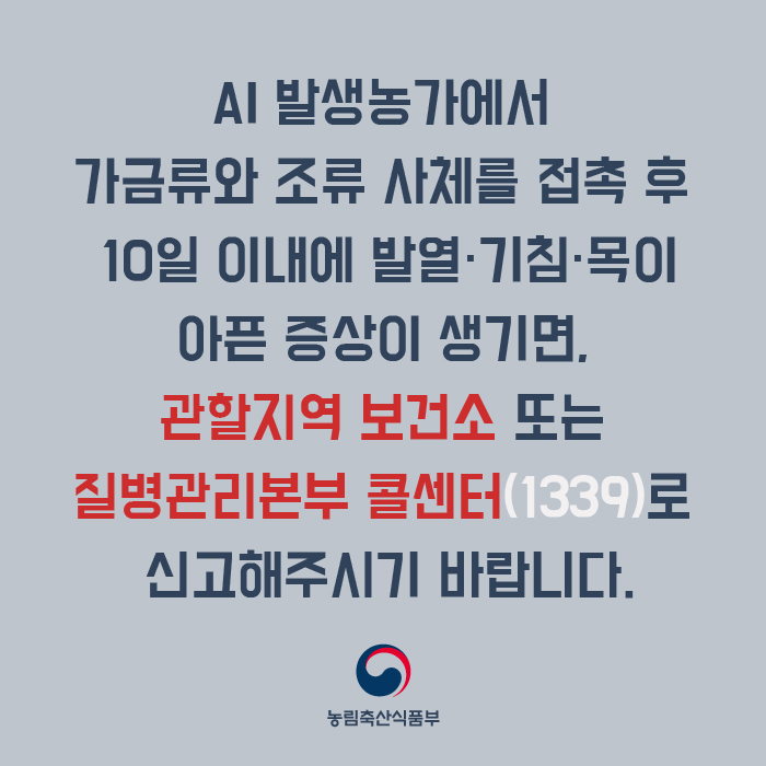 AI 발생농가에서 가금류와 조류 사체를 접촉 후 10일 이내에 발열·기침·목이 아픈 증상이 생기면, 관할지역 보건소 또는 질병관리본부 콜센터(1339)로 신고해주시기 바랍니다. 농림축산식품부