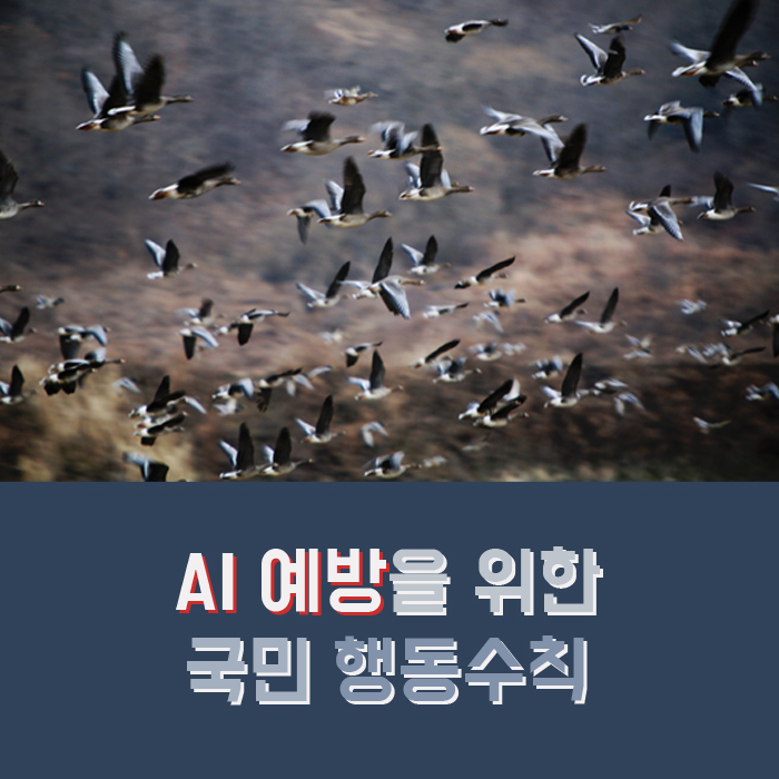 AI 예방을 위한 국민 행동수칙