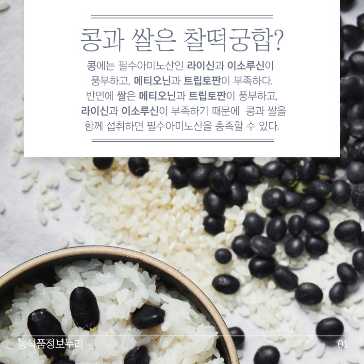 콩과 쌀은 찰떡궁합?
콩에는 필수아미노산인 라이신과 이소루신이 풍부하고, 메티오닌과 트립토판이 부족하다. 반면에 쌀은 메티오닌과 트립토판이 풍부하고, 라이신과 이소루신이 부족하기 때문에 콩과 쌀을 함께 섭취하면 필수아미노산을 충족할 수 있다.
농식품정보누리