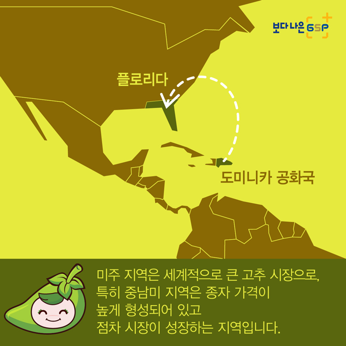 보다 나은 GSP 플로리다 도미니카 공화국 미주 지역은 세계적으로 큰 고추 시장으로, 특히 중남미 지역은 종자 가격이 높게 형성되어 있고 점차 시장이 성장하는 지역입니다.