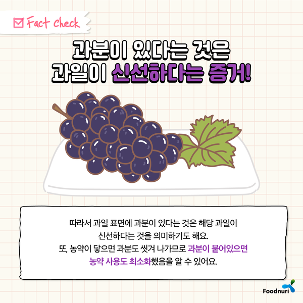 Fact Check. 과분이 있다는 것은 과일이 신선하다는 증거! 따라서 과일 표면에 과분이 있다는 것은 해당 과일이 신선하다는 것을 의며하기도 해요. 또, 농약이 닿으면 과분도 씻겨 나가므로 과분이 붙어있으면 농약 사용도 최소화 했음을 알 수 있어요.