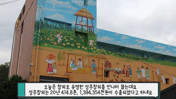 오늘은 참외로 유명한 성주참외를 만나러 왔는데요 성주참외는 20년 414.8톤, 1,394,354천원이 수출되었다고 하네요