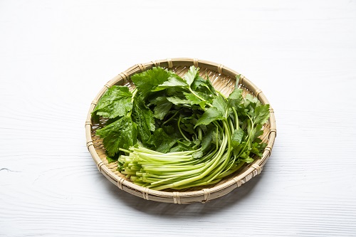 %EC%B6%9C%EC%B2%98%20-%20%EA%B2%BD%ED%96%A5%EC%8B%A0%EB%AC%B8.jpg 참나물