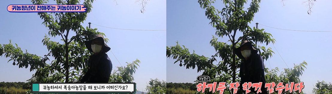 귀농청년이 전해주는 귀농이야기 - 귀농하셔서 복숭아농장을 해 보니까 어떠신가요? '하기를 잘 한것 같습니다.'