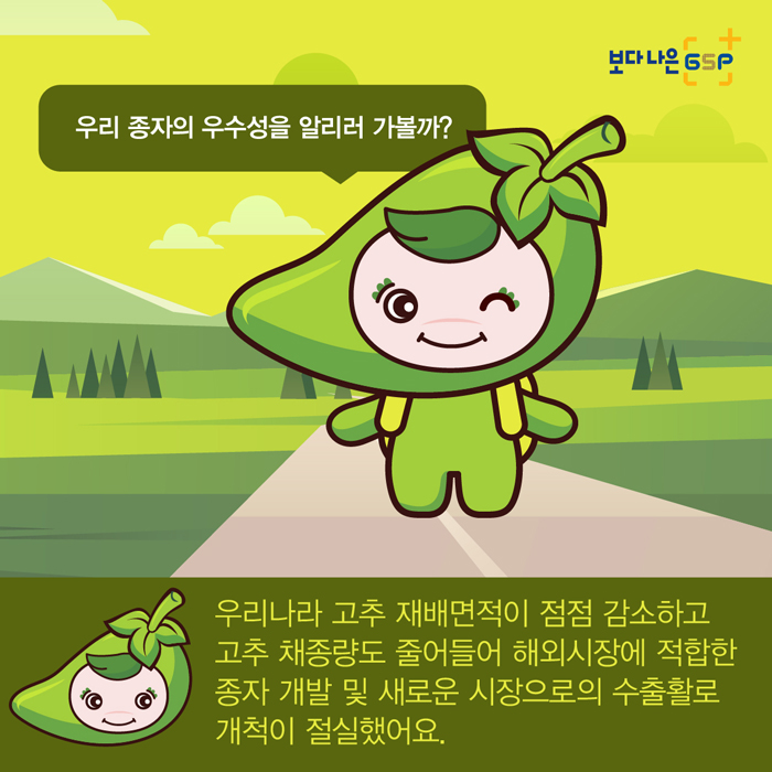 보다 나은 GSP 우리 종자의 우수성을 알리러 가볼까? 우리나라 고추 재배면적이 점점 감소하고 고추 채종량도 줄어들어 해외시장에 적합한 종자 개발 및 새로운 시장으로의 수출활로 개척이 절실했어요
