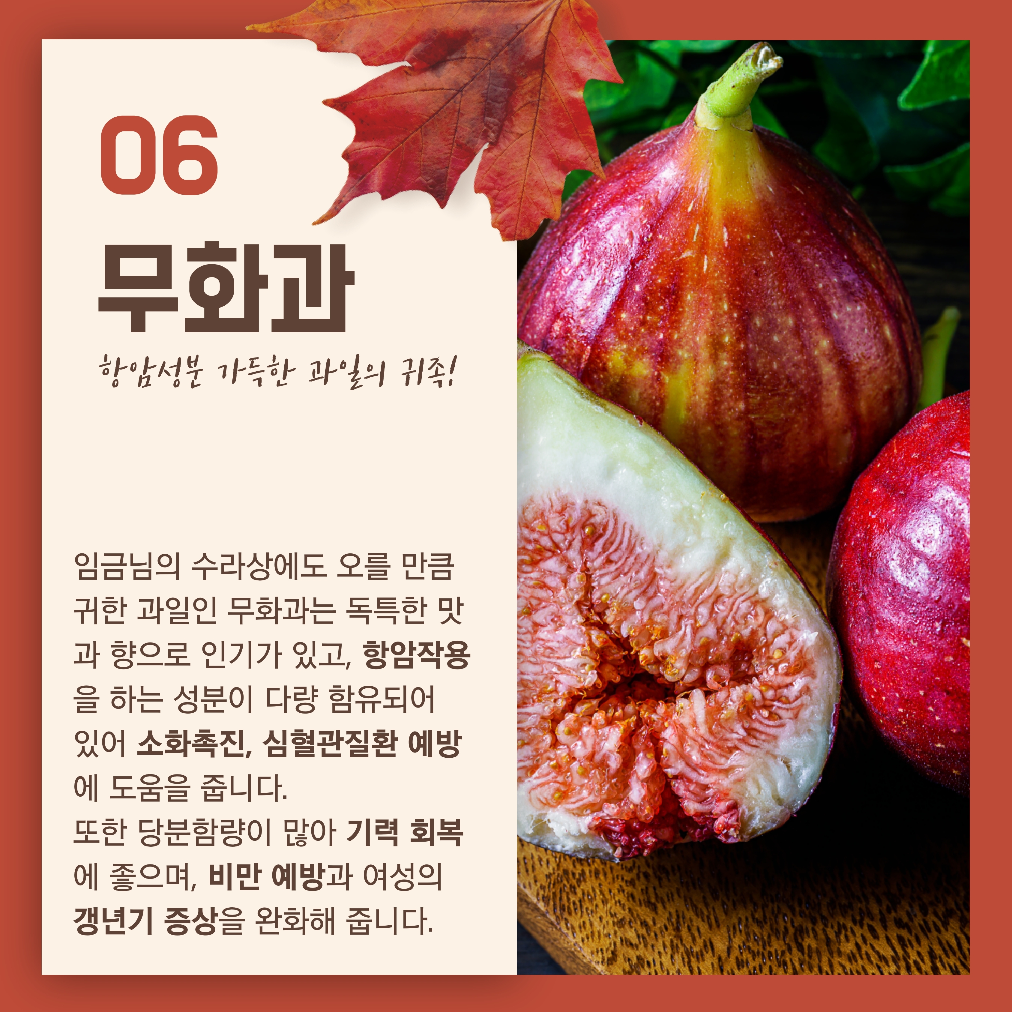 무화과 항암성분 가득한 과일의 귀족 임금님의 수라상에도 오를 만큼 귀한 과일인 무화과는 독특한 맛과 향으로 인기가 있고, 항암작용을 하는 성분이 다량 함유되어있어 소화촉진, 심혈관질환 예방에 도움을 줍니다. 또한 당분함량이 많아 기력 회복에 좋으며, 비만 예방과 여성의 갱년기 증상을 완화해 줍니다.