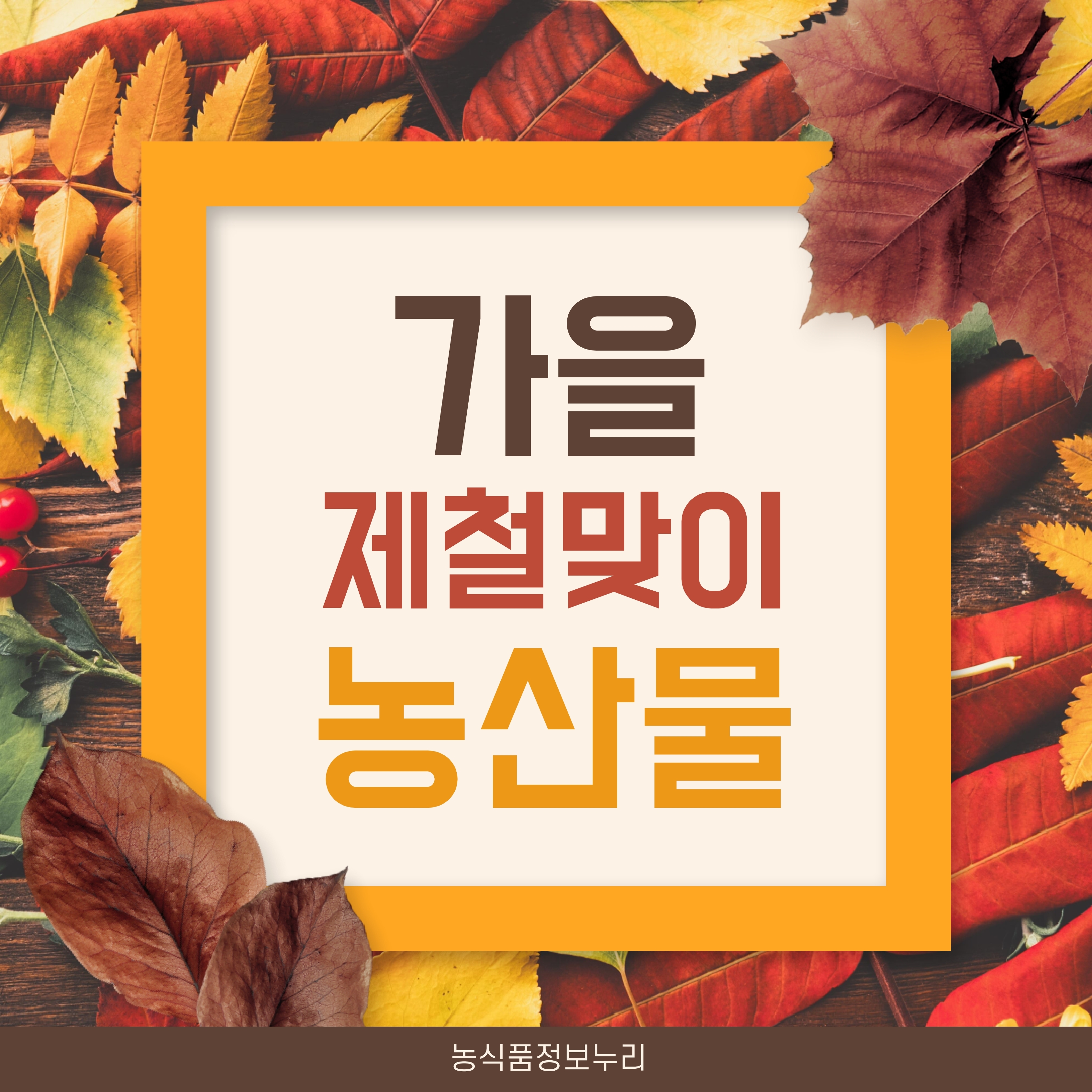 가을 제철맞이 농산물