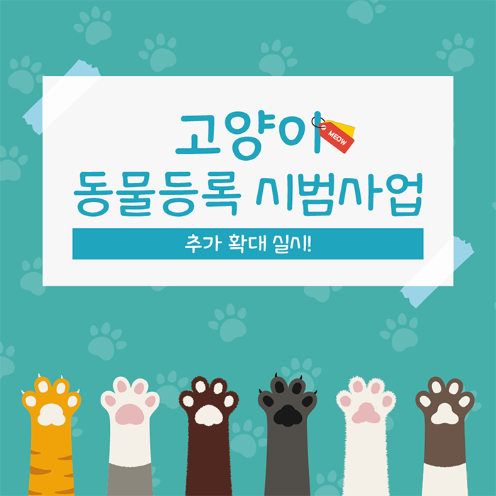 고양이 동물등록 시범사업 추가 확대 실시!