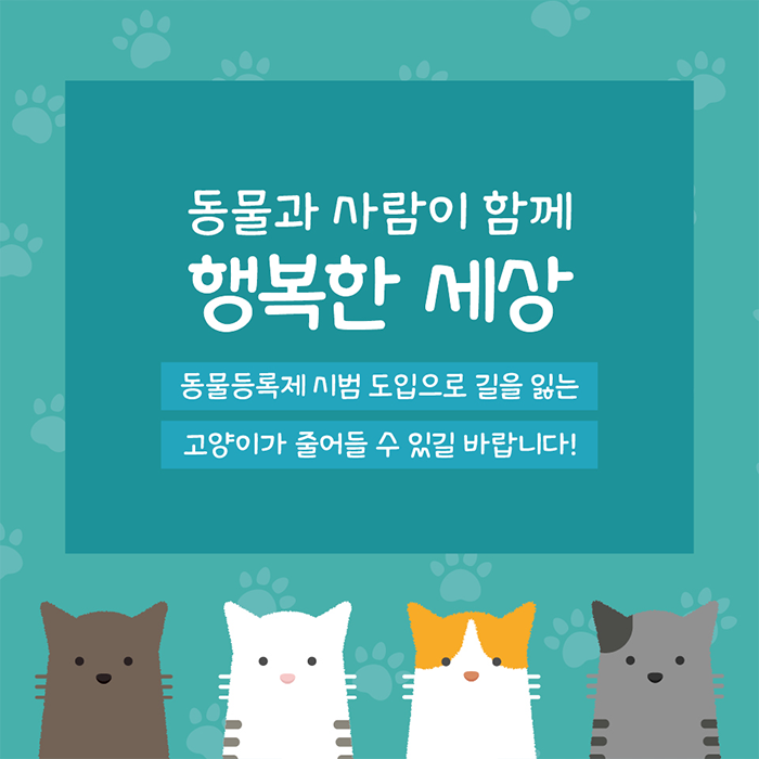 동물과 사람이 함께 행복한 세상 동물등록제 시범 도입으로 길을 잃는 고양이가 줄어들 수 있길 바랍니다!