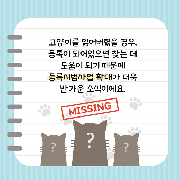 고양이를 잃어버렸을 경우, 등록이 되어있으면 찾는 데 도움이 되기 때문에 등록시범사업 확대가 더욱 반가운 소식이에요.