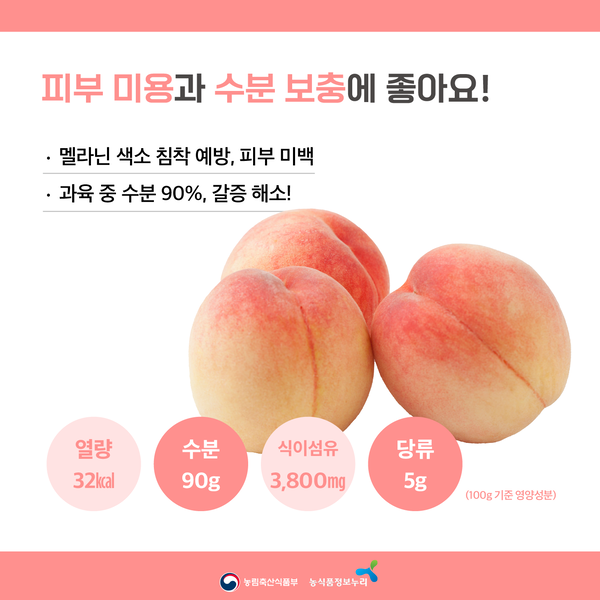 피부 미용과 수분 보충에 좋아요! 멜라닌 색소 침착 예방, 피부 미백. 과육 줄 수분 90%, 갈증 해소! 열량 32kcal, 수분 90g, 식이섬유 3,800mg, 당류 5g (100g 기준 영양성분) 