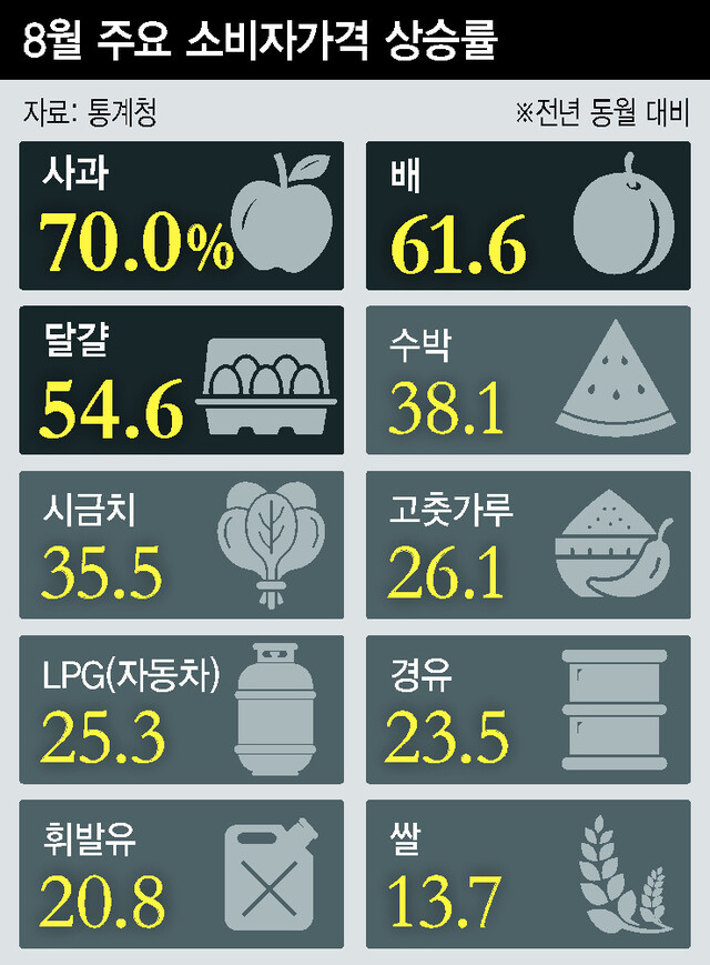 8%EC%9B%94%20%EC%A3%BC%EC%9A%94%20%EC%86%8C%EB%B9%84%EC%9E%90%EA%B0%80%EA%B2%A9%20%EC%83%81%EC%8A%B9%EB%A5%A0.jpg 8월 주요 소비자가격 상승률(자료:통계청/※전년 동월 대비) - 사과70%/배61.6%/달걀54.6%/수박38.1%/시금치35.5%/고춧가루26.1%/LPG(자동차)25.3%/경유23.5%/휘발유20.8%/쌀13.7%