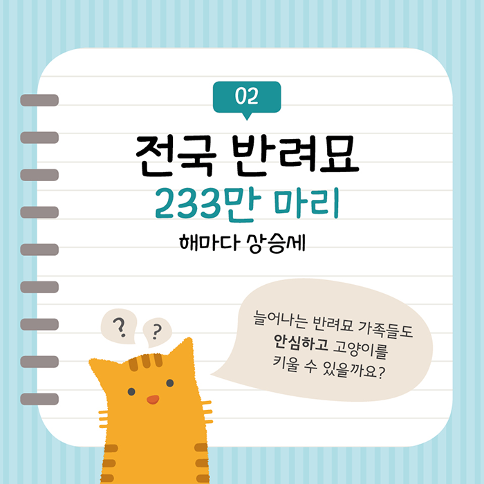 전국 반려묘 233만 마리 해마다 상승세 늘어나는 반려묘 가족들도 안심하고 고양이를 키울 수 있을까요?