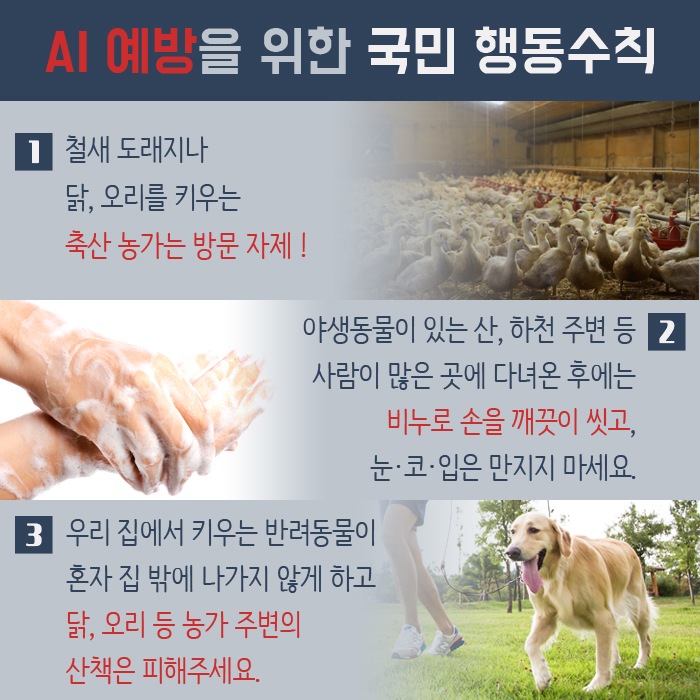AI 예방을 위한 국민 행동수칙 1 철새 도래지나 닭, 오리를 키우는 축산 농가는 방문 자제! 2 야생동물이 있는 산, 하천 주변 등 사람이 많은 곳에 다녀온 후에는 비누로 손을 깨끗이 씻고, 눈·코·입은 만지지 마세요. 3 우리 집에서 키우는 반려동물이 혼자 집 밖에 나가지 않게 하고 닭, 오리 등 농가 주변의 산책은 피해주세요.