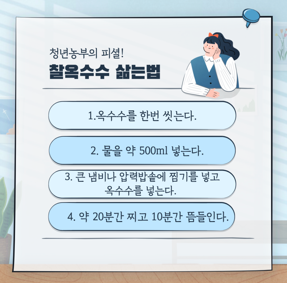 청년농부의 피셜! 찰옥수수 삶는법 - 1. 옥수수를 한번 씻는다. / 2. 물을 약 500ml 넣는다. / 3. 큰 냄비나 압력밥솥에 찜기를 넣고 옥수수를 넣는다. / 4. 약 20분간 찌고 10분간 뜸들인다.
